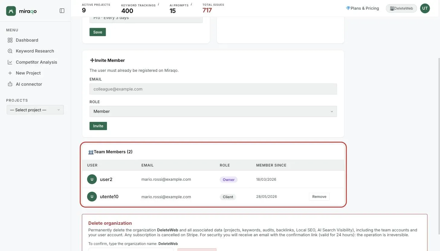 The Team Members card, highlighted: one row per member with user, email, role, joining date and the Remove button; below, the red Delete organization zone