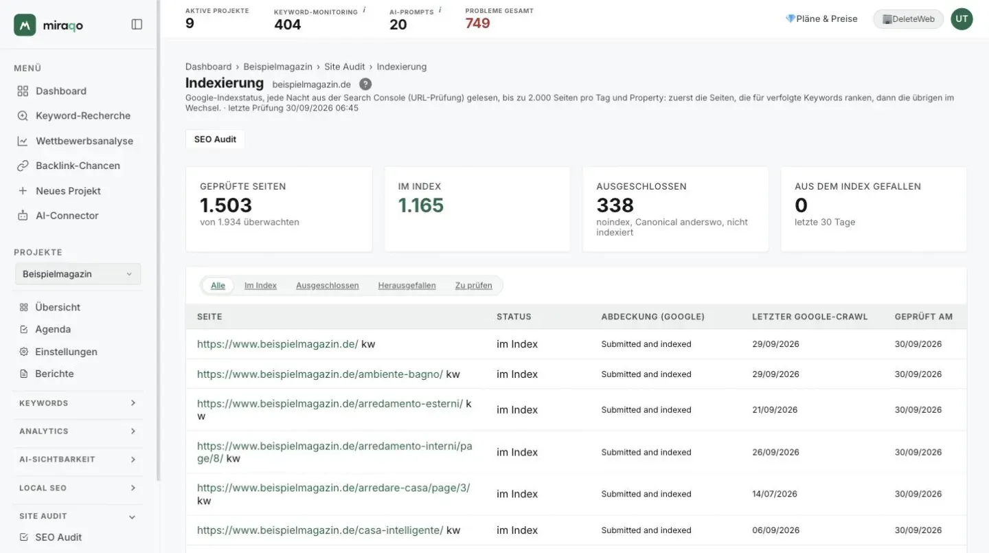 Die Seite Indexierung eines Projekts: oben die Karten Geprüfte Seiten, Im Index, Ausgeschlossen und Aus dem Index gefallen, darunter die Filter Alle, Im Index, Ausgeschlossen, Herausgefallen und Zu prüfen und die Tabelle mit Seite, Status, Google-Abdeckung, letztem Crawl und Prüfdatum