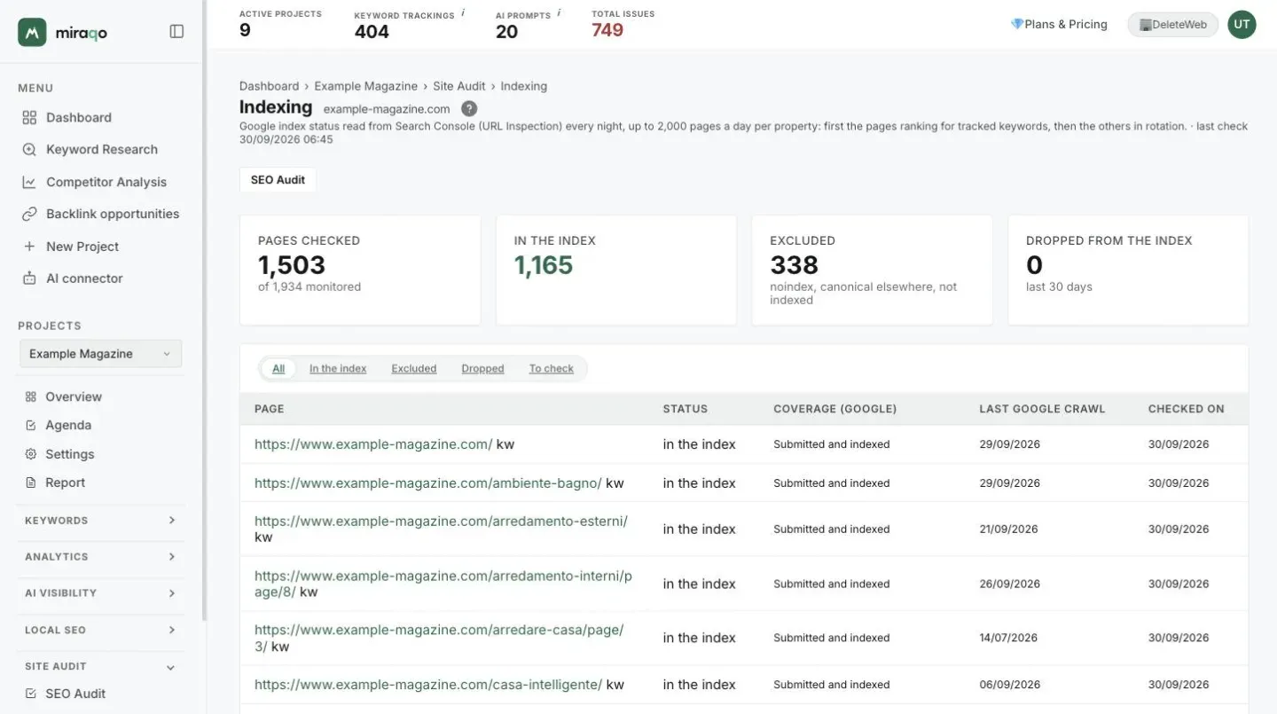 The Indexing page of a project: at the top the Pages checked, In the index, Excluded and Dropped from the index cards, below the All, In the index, Excluded, Dropped and To check filters and the table with page, status, Google coverage, last crawl and check date